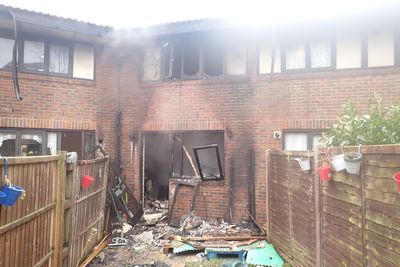 Two dogs killed and two homes destroyed in separate e-bike and e-scooter fires