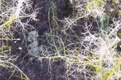 North Korean Soldiers Captured In Ukraine Conflict