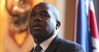 David Lammy fails to condemn Donald Trump's call for ethnic cleansing of Gaza