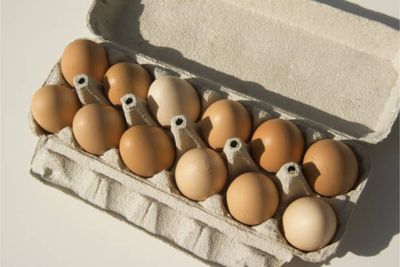 100,000 Eggs Stolen In Pennsylvania As Shortages Sweep Country