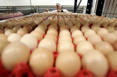 Egg Prices Hit $9 A Dozen In California Amid Bird Flu Outbreak