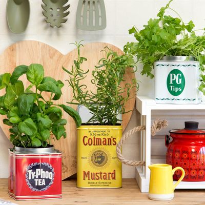 The 5 easiest herbs to grow at home, according to gardening experts — so you can stop wasting money at the supermarket