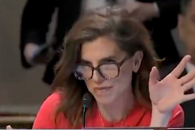 Nancy Mace repeatedly shouts anti-trans slur in House hearing: 'I don't really care‘