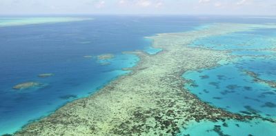 ‘Serious concerns’: national assessment reveals rivers flowing into the Great Barrier Reef are getting more polluted