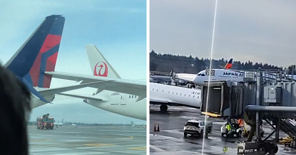 “Is This The New 2025 Trend?”: Days After DC Crash, Two Planes Collide At Seattle Airport