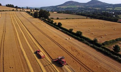 Urgent action needed to ensure UK food security, report warns