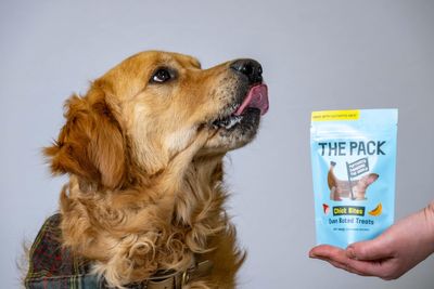 Dog treat made from cultivated meat on sale in UK in ‘world first’