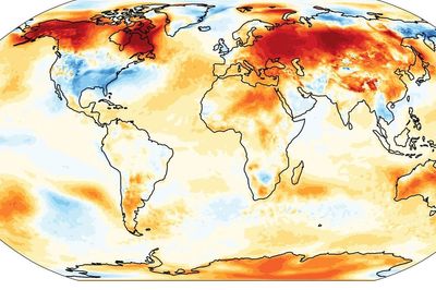 World sees record hot January with temperatures 1.75C above pre-industrial era