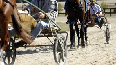 Horse trainer's company charged over deadly crash