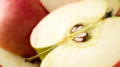 How to grow an apple tree from seed – go from core to tree in 5 simple steps