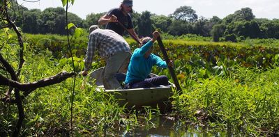 Reducing air pollution could increase methane emissions from wetlands – here’s what needs to be done