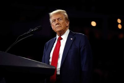These 2 Red-Hot Tech Stocks Are ‘Immune’ From Trump’s Tariffs. Should You Buy Them Now?
