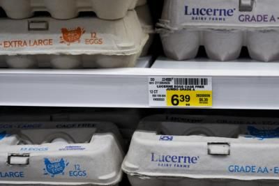 Police Investigate Mysterious Heist Of 100,000 Eggs In Pennsylvania