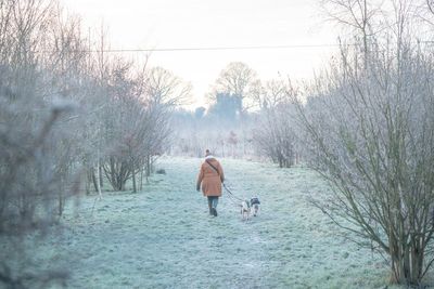 Temperatures to plummet to minus 7C in parts of UK as cold health alerts issued