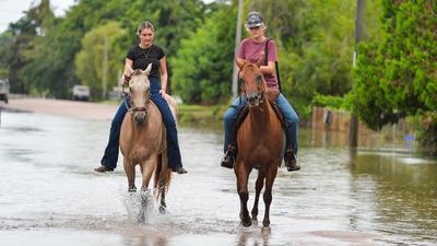 No horsing around for family bracing for more rain