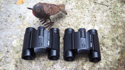 Nikon Stabilized 12x25 S and 10x25 S binoculars review: can this pair of stabilized Nikon binos knock Canon off its perch