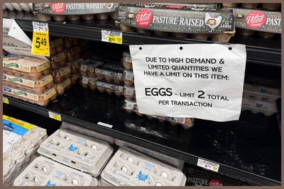 Consumers Are Flocking to Rent Chickens in Effort to Combat Rising Egg Prices