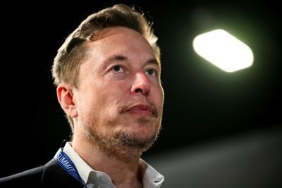 Tesla Sales Plummet as Experts Blame Musk's Government Overhaul