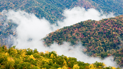 "Beloved" volunteer found dead in Great Smoky Mountains National Park, where she'd worked for more than 20 years