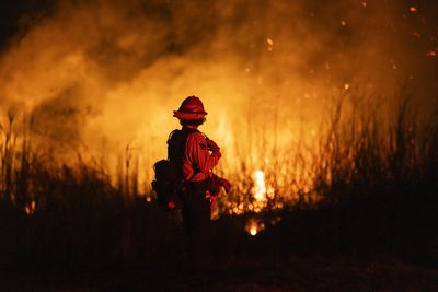 California wildfires will cost insurers billions