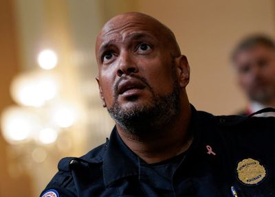 Pardoned Jan 6 felon heckles former Capitol police officer Harry Dunn outside building