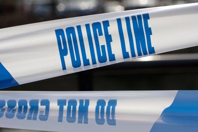 Man arrested after two women sexually assaulted outside north London school