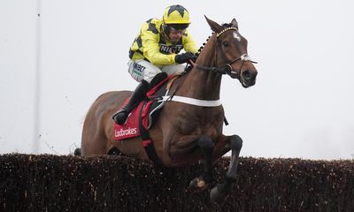 Arkle-bound Sir Gino faces uncertain run-in after injury scuppers Newbury tilt