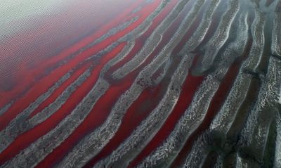 ‘It looks like a stream of blood.’ A river near Buenos Aires turns red, sparking fears of toxic leak