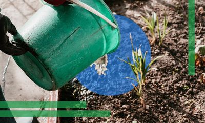Fifty shades of greywater: how reusing water at home will make your garden thrive and help the planet