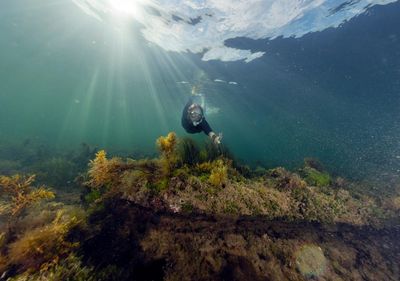 What lies beneath: Melbourne’s often maligned surf has created a growing snorkelling scene