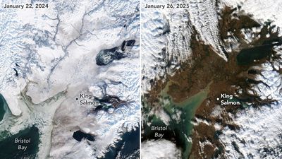 Alaska's ice is melting in front of our eyes, staggering satellite shots show