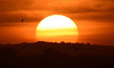 Hot nights expected in southern Australian states as heatwave sweeps east