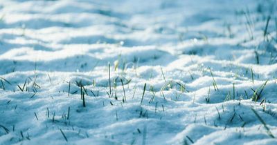 Met Office warns of snow and ice amid cold snap as temperatures plummet