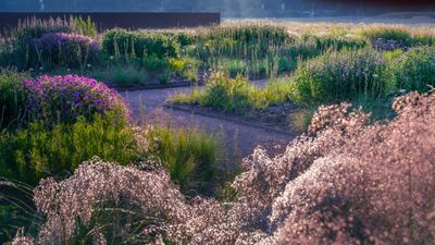 High Line designer Piet Oudolf to bring trademark naturalistic planting to 'the heart' of Swedish art and design museum