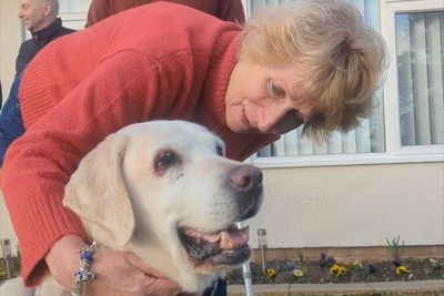 Couple reunited with dog stolen more than seven years ago in ‘dream come true’