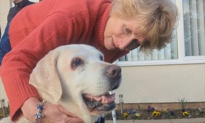 Norfolk couple reunited with their dog stolen seven years ago