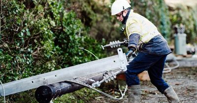 Around 1500 premises still without power in Ireland after Storm Eowyn