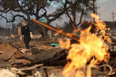 Disaster hit, and the scammers swarmed