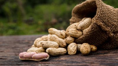 How to grow peanuts – simple tips from the experts on how to raise this fun and nutritious backyard crop