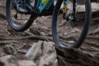 Female downhill mountain bikers at ‘significantly’ higher risk of injury – study