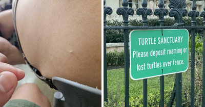 These 50 Mildly Interesting Pics Are Actually Pretty Intriguing (New Pics)