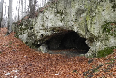 Early Europeans celebrated victory in war by eating their enemies’ brains, cave fossils show