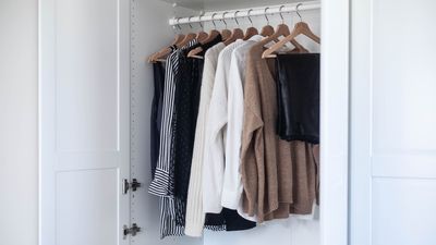 I tried this $9 organization hack and it instantly doubled my closet space