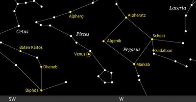 Starwatch: look out for Venus blazing brightly in inconspicuous Pisces