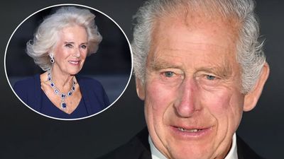 Queen Camilla struggled with Royal protocol before taking on a big role