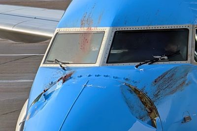 Astonishing damage revealed after Tui plane’s collision with swans