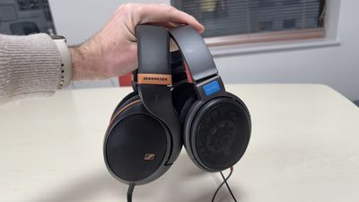 Sennheiser's new affordable HD 505 headphones are here, and I compared them to the HD 600