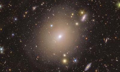 Euclid telescope captures Einstein ring revealing warping of space