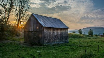 Is A Shed Kit The Right Choice For Your DIY Project?