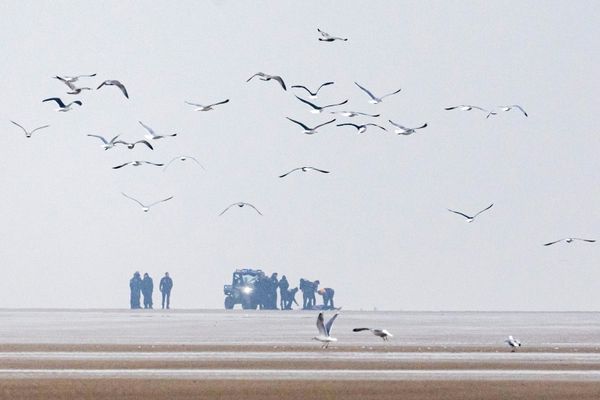 Six Arrested After Migrants' Bodies Found On French Beach